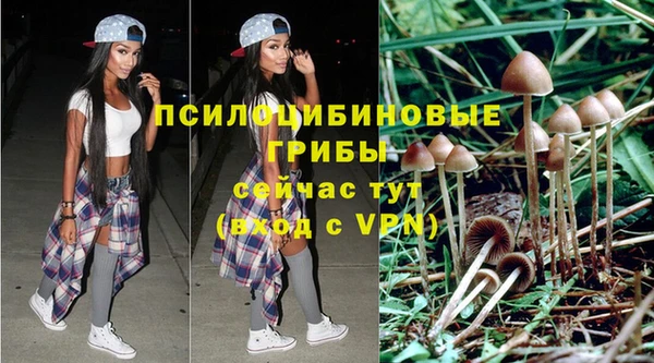 дмт Алексеевка